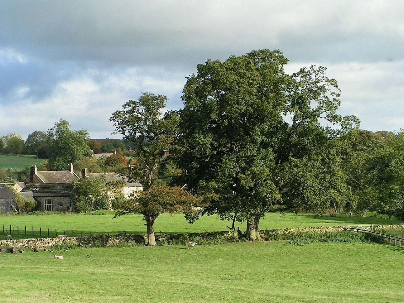 Paisagem de horta