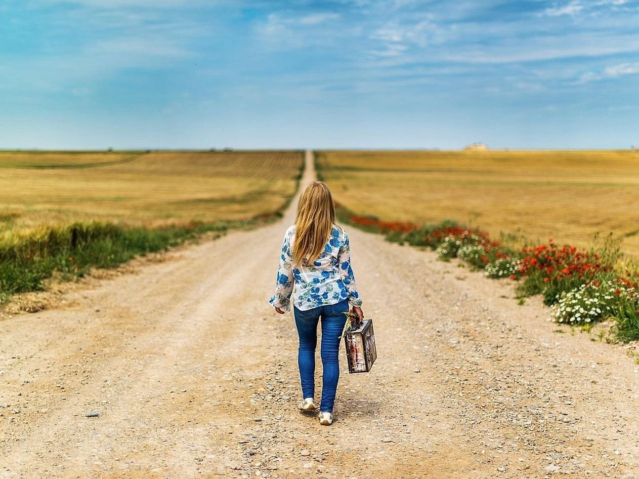Caminho entre plantações